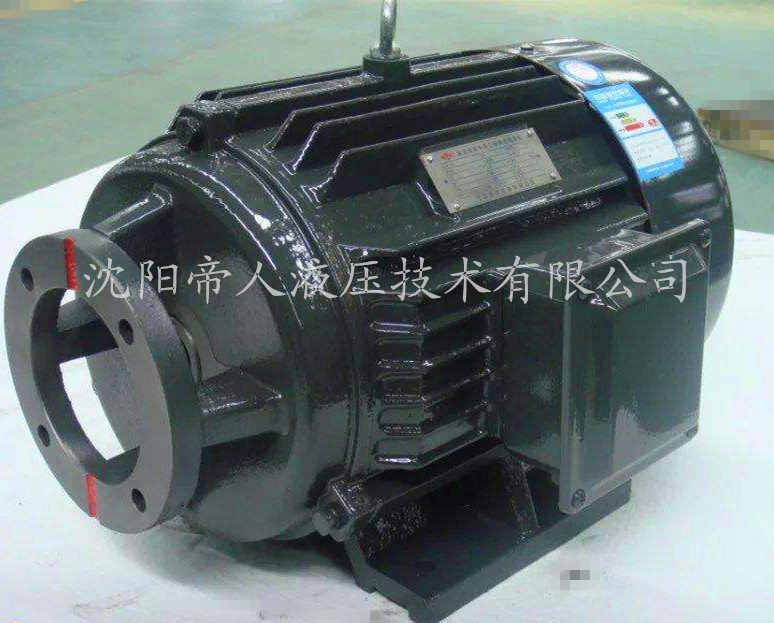 柱塞泵專(Zhuān)用電機